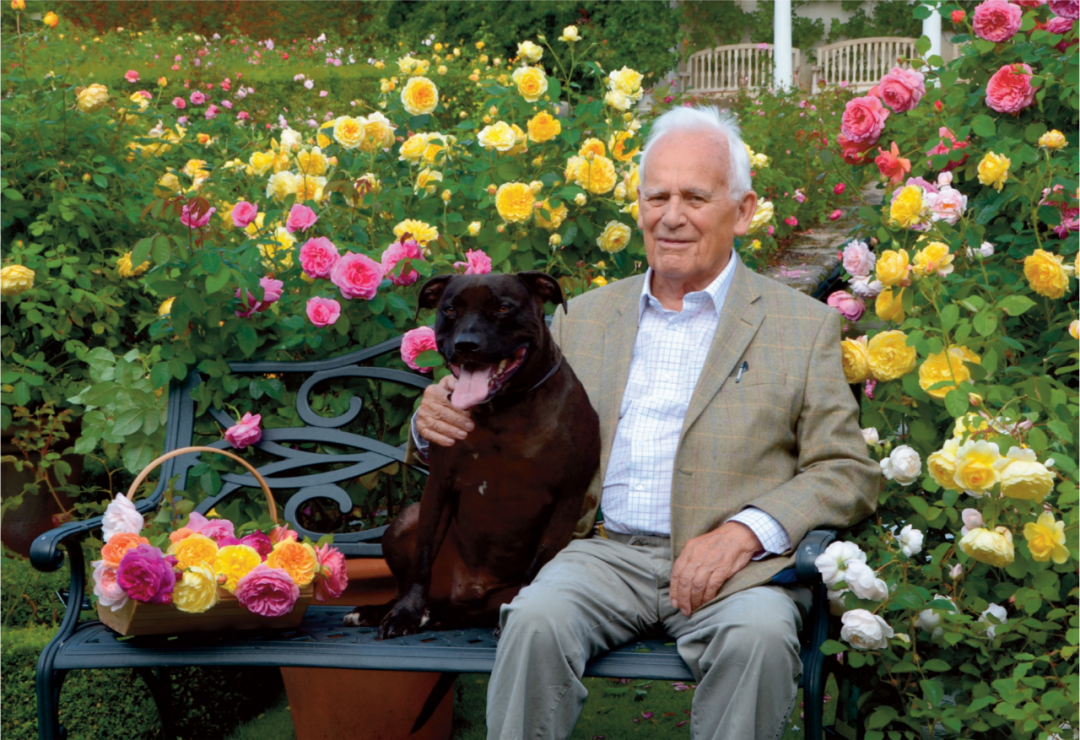 顏值暴擊！史上最全大衛(wèi)奧斯汀歐月指南