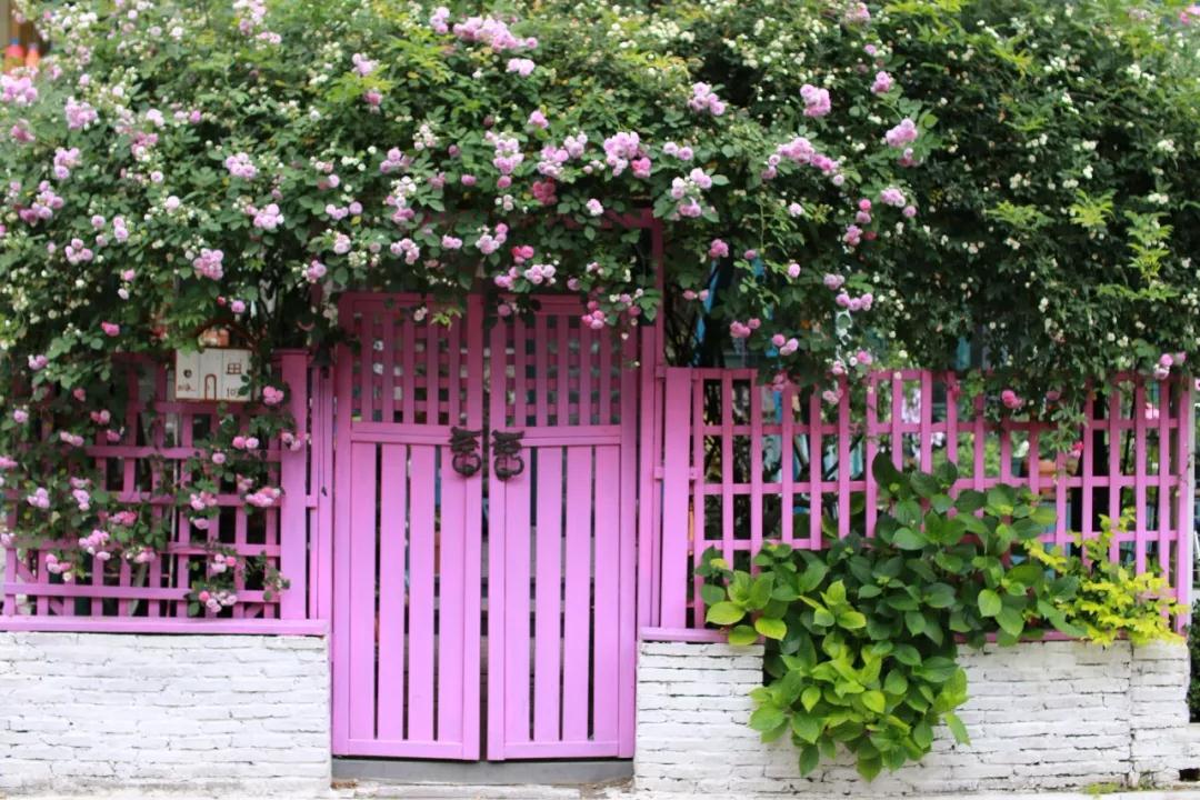 “寵妻狂魔”打造全手工花園，順手開創(chuàng)無數(shù)網(wǎng)紅爆款···