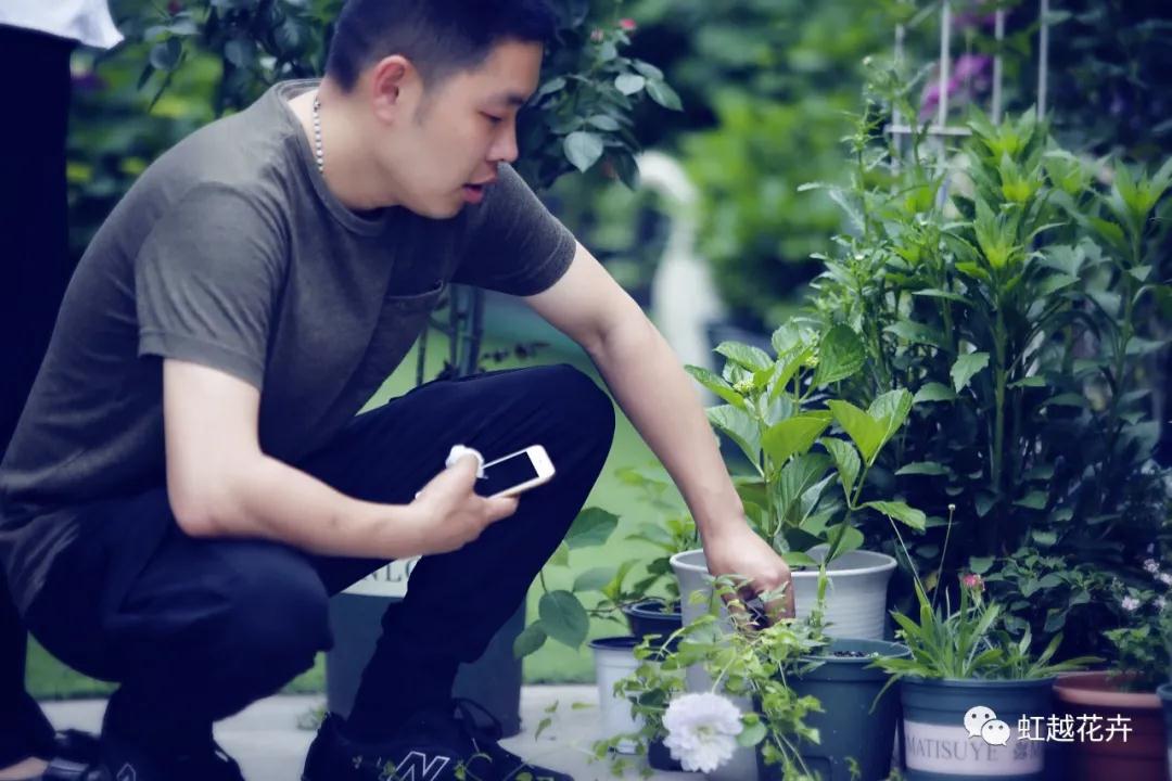 史上最硬核花園主，是怎樣拿下三年繡球比美冠軍的？