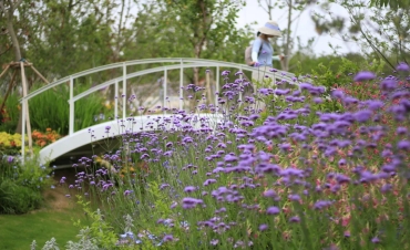 第10屆花博會，虹越喜獲11項大獎！