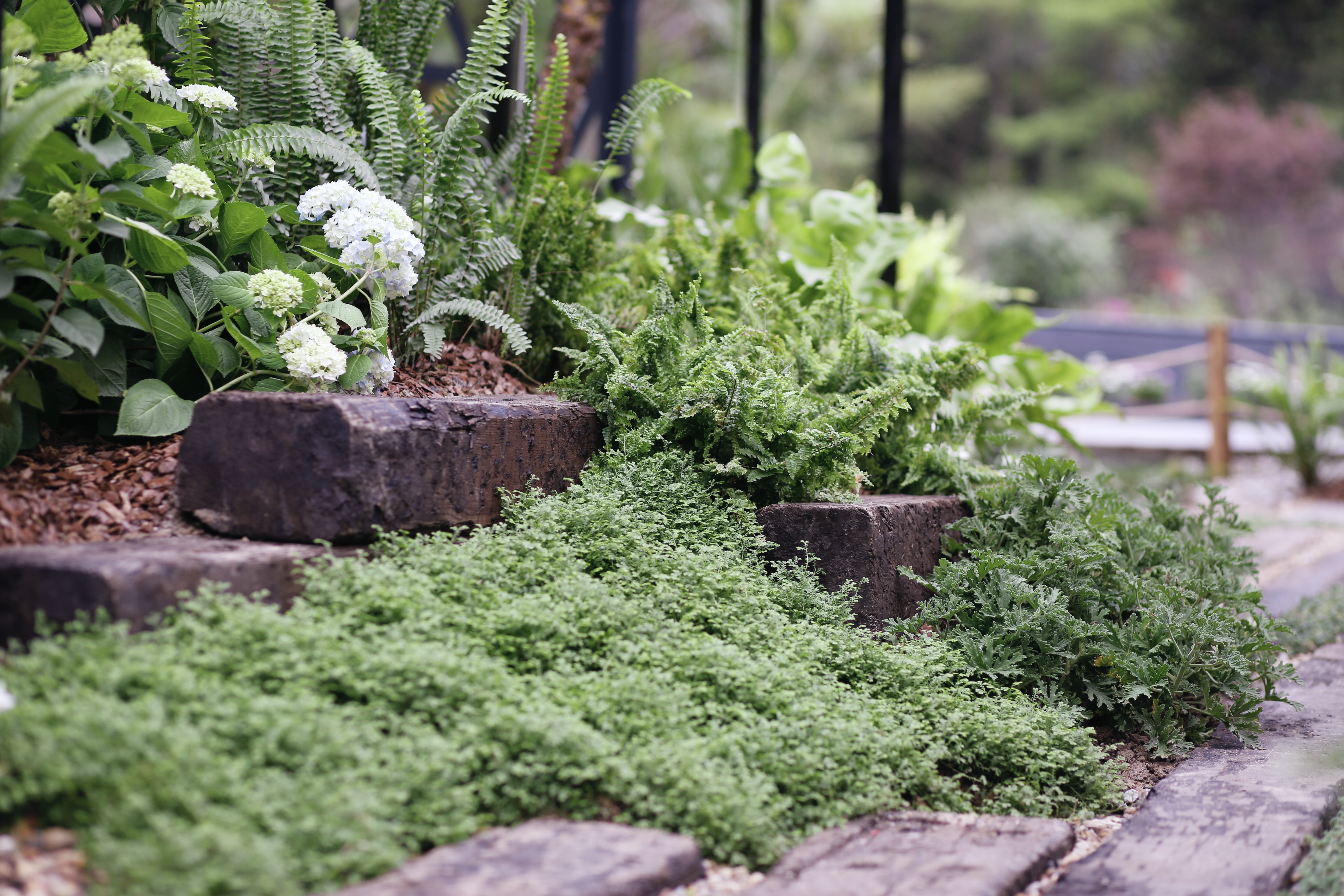 8座刷爆朋友圈的國際設(shè)計師花園，打開生活新方式！