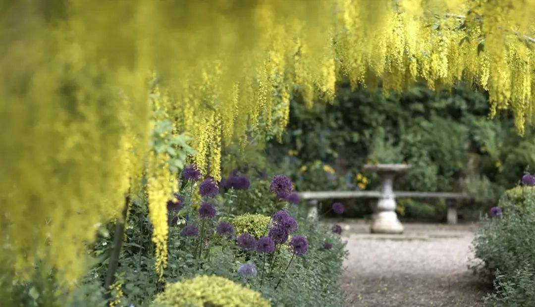 他為妻子打造最美坡地花園，驚艷世界80年