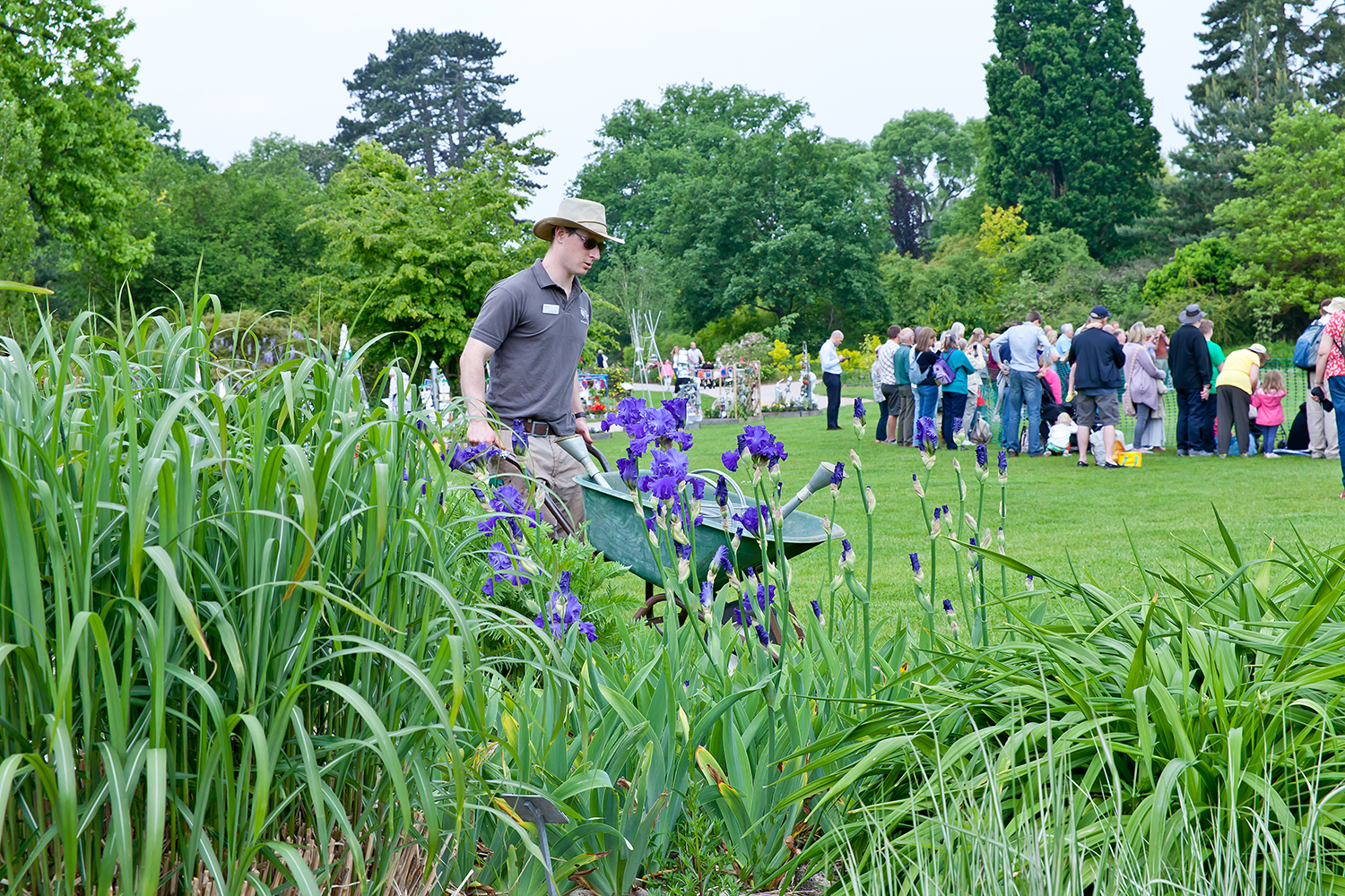 一年一度清園季！學會這波操作，病蟲統(tǒng)統(tǒng)不見~