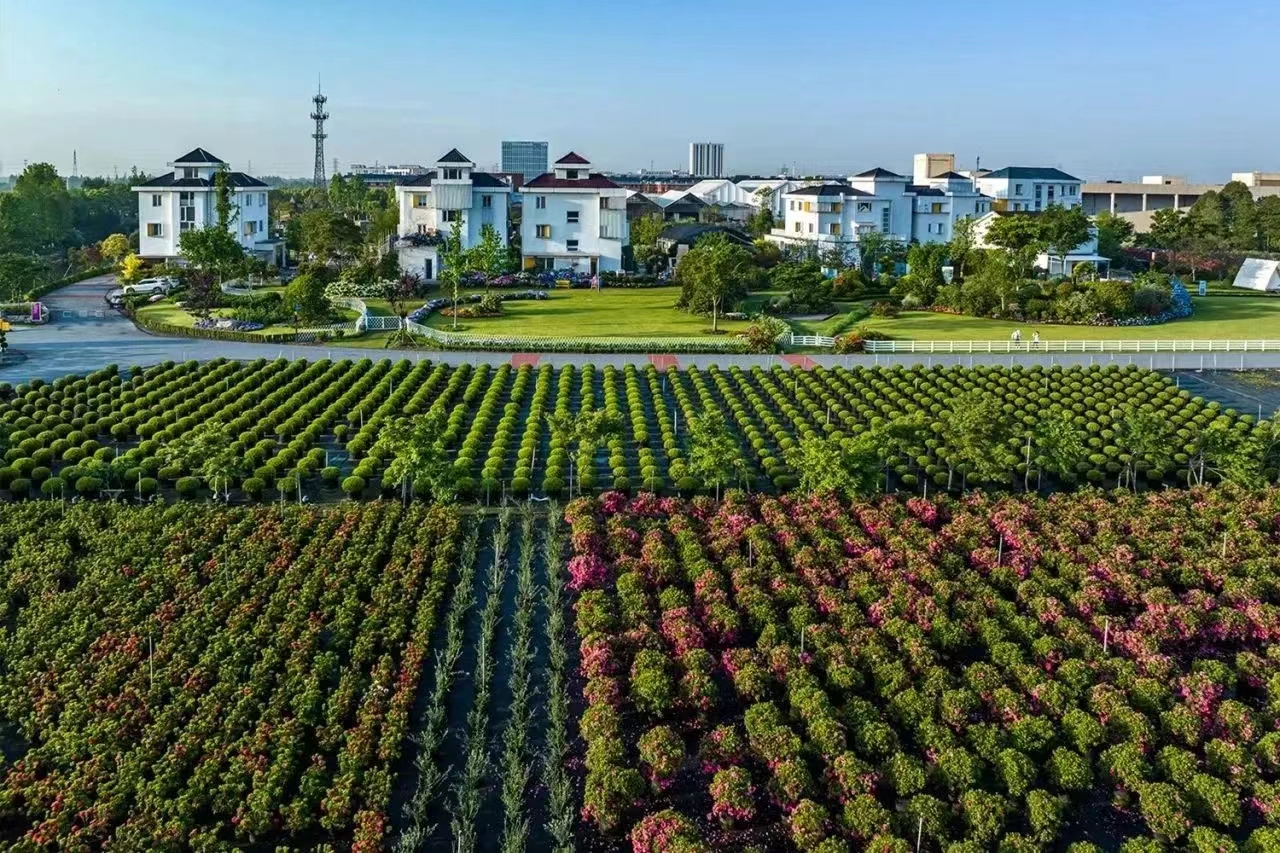 過年不打烊！虹越線上零售渠道營業(yè)安排通知！