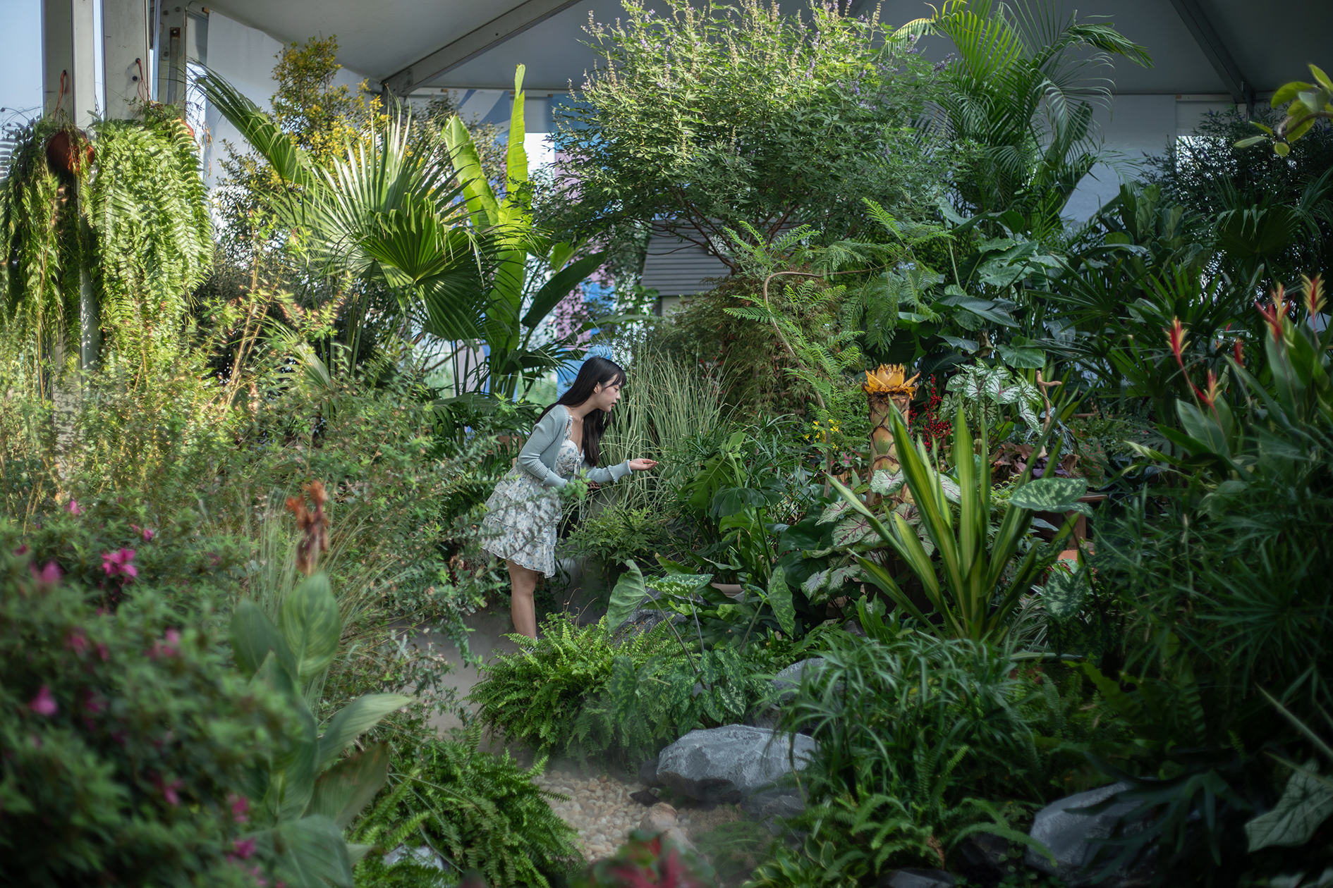 官宣！世界花園大會增設(shè)武漢分會場