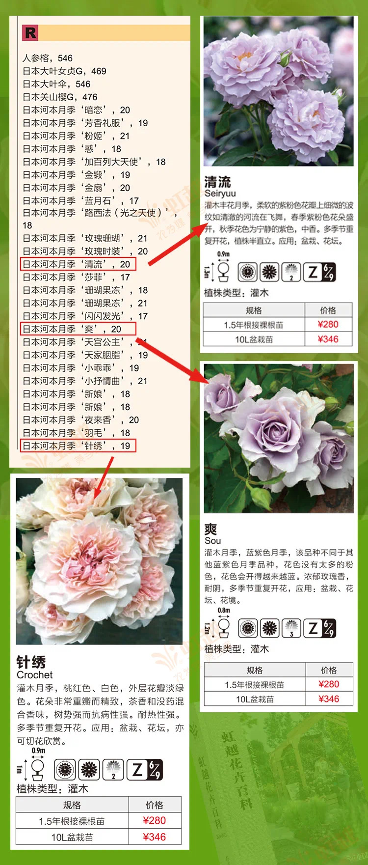 1610011816277741.jpeg WechatIMG616.jpeg